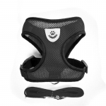 Hingavate kassirakmete jalutusrihma komplekt Reguleeritav kutsikakasside rakmete vest Prantsuse buldog chihuahua mops &otilde;ues k&auml;imise plii v&auml;ikesed koerad S