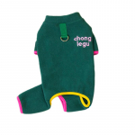 Talvised soojad lemmikloomakoerariided v&auml;ikestele keskmistele koertele fliisist koerte mantel Chihuahua prantsuse buldogi riided koerte aksessuaarid XS roheline