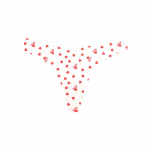 Stringid naistele &Otilde;mblusteta alusp&uuml;ksid T-selja tr&uuml;kitud aluspesu Seksikas G-string 15 v&auml;rvi pesu S