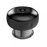 Esiklaasi numbrim&auml;rgi hoidikraam Tesla Model 3 jaoks