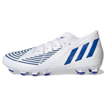 Adidas Predator Edge.2 Mg 'White High Resolution Blue' GW6146 40⅔