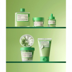 T&auml;ielik [5-osaline komplekt] Rohelise tomati savimask pesuvahend + Gelato mask pesuvahend + Tooner + Seerum + Kreem Tuubikujuline NONE