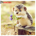 Huacan 5D DIY t&auml;ispuuritav teemantmaaling siili ristpistes tikkimisega k&auml;sit&ouml;&ouml; 30*30 CM