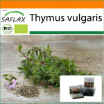 SAFLAX - Aed kotis - Mahe - T&uuml;&uuml;mian - 800 seemet - Substraadiga sobivas p&uuml;stises kotis - Thymus vulgaris