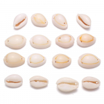 100 tk. partii V&auml;ike naturaalne koorega merekarbikarp, kaunistused, ovaalsed karbid, akvaariumi akvaariumi kodu sisekujundus 100Pcs/15-20mm-Conch