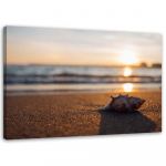 Feeby l&otilde;uenditr&uuml;kk, Shell rannas 60x40 beež