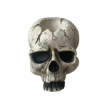 Halloweeni pealuupea k&uuml;&uuml;nlahoidja hirmutav luukere peaga seinale kinnitatav k&uuml;&uuml;nlajalg Kodubaari restorani dekoratiivne k&uuml;&uuml;nlajalg style 1