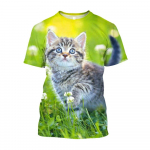 Armsad kassiga tr&uuml;kitud loomad, suured T-s&auml;rgid, meeste t&auml;navar&otilde;ivad, korea mood Kawaii T-s&auml;rgid, noorte riided S