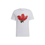 Adidas Originals Trefoil Maasika Prindiga Logoga &Uuml;mmarguse Kaelusega T-s&auml;rk Meeste Topid Valge GP1971 S