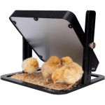 Kanalihasoojendi 12 x 12 tolline kodulindude soojendusplaat 15 tibule soojendus konstantiga EU Plug must