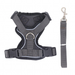 Kassi rakmete jalutusrihma komplekt p&otilde;genemiskindel reguleeritav kassipoegade rakmed, pehme hingav lemmiklooma vesti veok&ouml;is XS