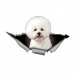 1 tk Bichon Frise Naljakas Auto Kleeps, Armas Koer Augus Loov Disain Kleeps, Sobib Autodele, Veoautodele, Mootorratastele, Seintele 15cm-Longest Side