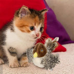 Kassim&auml;nguasjad Lehvitav lind (Ei lenda), Elutruu isane nukk, varblane, laetav aktiveeritud m&auml;nguasi, interaktiivne kassi harjutusm&auml;nguasi One Size