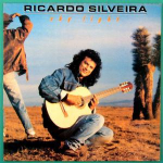CD RICARDO SILVEIRA - Sky Light 8376962 Verve Forecast 1989 USA Jazz Kasutatud