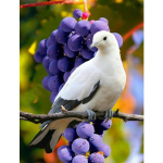 Teemanttikandid Pigeon Grape Teemantmosaiik 5D Ikoon Rhinestone Teemantmaal Ristpiste 20X30CM