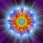 5D DIY teemanttikandid Mandala lilled ristpistes m&uuml;&uuml;k T&auml;isruudukujuline &uuml;mmargune teemantmaaling Kass Loom Teemantmosaiik Kodukaunistus Full Round 30x30CM punane