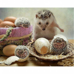 5D DIY Teemantmaaling Hedgehog Crosstitch Kit Mosaiik Teemanttikandid Roos T&auml;is&uuml;mmargune/ruudukujuline puur Kodukaunistus Round 20x30cm