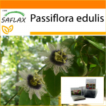 SAFLAX - Aed kotis - Purple Granadill - 40 seemet - Substraadiga sobivas p&uuml;stijas kotis - Passiflora edulis