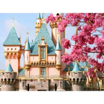 Full Drill 5D teemantmaal ristpistes moe mosaiikmustriga kivid ja lossi kaunistus Full Round 20x25CM