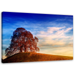 L&otilde;uenditr&uuml;kk Tree on a hill Loodus 60x40 sinine
