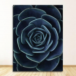 Sinine v&otilde;ilill sukulendid, lilled lehed, seinakunst, l&otilde;uend, maalid, v&auml;ljatr&uuml;kid elutoa jaoks m&otilde;eldud kodukaunistuse jaoks P&otilde;hjala plakatid 20x30cm