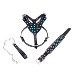 Naastud nahast koerarakmed, needid kaelarihma ja jalutusrihma komplekti keskmise suurusega koertele M 49-57CM