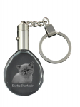 Exotic Shorthair - Fob with cat photo, crystal key ring in gift box, unique gift by Art-Dog brand