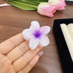 2TK Mood Naiste lilledega juukseklambrid Puhkus Bohemia Egg Lilled Juukseklambrid Barrettes T&uuml;drukutele Suured Juuksen&otilde;elad Juuste aksessuaarid 2pcs roheline