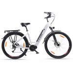 TTGO LK-ZZ-28ST black/white 250WBAFANG mid mounted motor+36V20AH detachable battery 700C * 45C inch tires Ximano 9-speed city electric bicycle valge