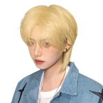 Peacoco parukas l&uuml;hikese igap&auml;evaseks v&auml;ikeseks kuumakindla v&otilde;rguga meestele, hunt, naturaalne, lihtne, n&auml;gus, cosplay, &uuml;mberkujundamine, kasutamine, unisex, n&auml;gu, kuumakindel,