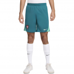 Nike Portugal Strike Meeste Nike Dri-FIT Jalgpalli Kootud L&uuml;hikesed P&uuml;ksid FJ2204-381 S