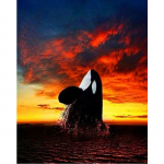 DIY teemanttikandid vaala t&auml;isteemantmaali maastik ristpistes 20X30CM