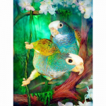 5d teemantmaal Roheline papagoi ristpistes teemanttikandid Loomade linnu kivid 20X30CM