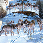 Tekikottide KOMPLEKT 3D Wolf Printing Voodiriided Voodipesu Decor 1.5X2.1/2PCS