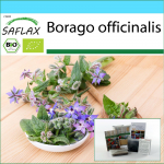 SAFLAX - Kingikomplekt - Orgaaniline - Kurgirohi - 40 seemet - Koos kinkekarbi, kaardi, etiketi ja potisubstraadiga - Borago officinalis