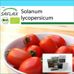 SAFLAX - Kingikomplekt - Orgaaniline - Tomat - Principe Borghese - 10 seemet - Koos kinkekarbi, kaardi, etiketi ja potisubstraadiga - Solanum lycopersicum
