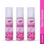 Dabur Gulabari Rose Glow Face Cleanser, 100 ml (Pack of 3)