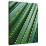 L&otilde;uendiprint Palm Tree Leaves Plant Green 40x60 roheline