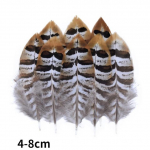Looduslikud faasanisuled Paabulinnusuled Kotkas V&auml;ike n&auml;ss K&auml;sit&ouml;&ouml; Aksessuaarid Ehted Looming P&uuml;hadekaunistus 100Pcs