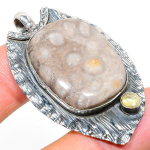 Natural Fossil Coral, Citrine Gemstone 925 Sterling Silver Pendant 2.09 u4l83