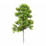 1 tk plastist v&otilde;ltsitud kunstlik m&auml;nd-k&uuml;pressitaim Bonsai Garden Home Office Decor roheline