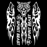 Universaalne peegeldav 3D mootorratta kleebis K&uuml;tte&otilde;li paagi padja kleebise kaitsekate 1 valge