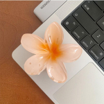 Kuus v&auml;rvitoonis Gradient lilleline juuksen&otilde;elad Rannastiilis Juuksen&otilde;elad Lillek&uuml;&uuml;sklambrid Suvelillede juuksen&otilde;elad Hawaii stiilis oranž