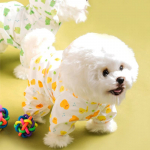 [Lemmikloom] K&otilde;ik-&uuml;hes vihmamantel L