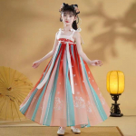 Retro Hiina Hanfu kleit Imitatsioon Hiina Tangi d&uuml;nastia t&uuml;drukute kleit 100