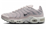 Nike Air Max Plus Platinum Violet (Naiste omad) 38