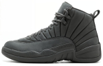 Jordan 12 Retro Psny 130690-003 40