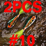 2PCS #10 Epoxy Minnow Streamer Fly Oranž V&auml;rv Forelli K&auml;rbsep&uuml;&uuml;gi Lusikas Peibutis