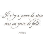 Les Tr&eacute;sors De Lily [Q4799] - Planche de stickers 'Messages' (Il n'y a point de g&eacute;nie sans un grain de folie - Aristote) - 20x70 cm must