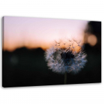 L&otilde;uenditr&uuml;kk Dandelions Sunset 60x40 roosa